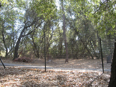 Chain Link Fence Sacramento, CA